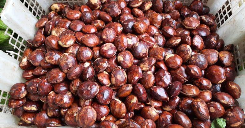 Pixabay/andryhariana